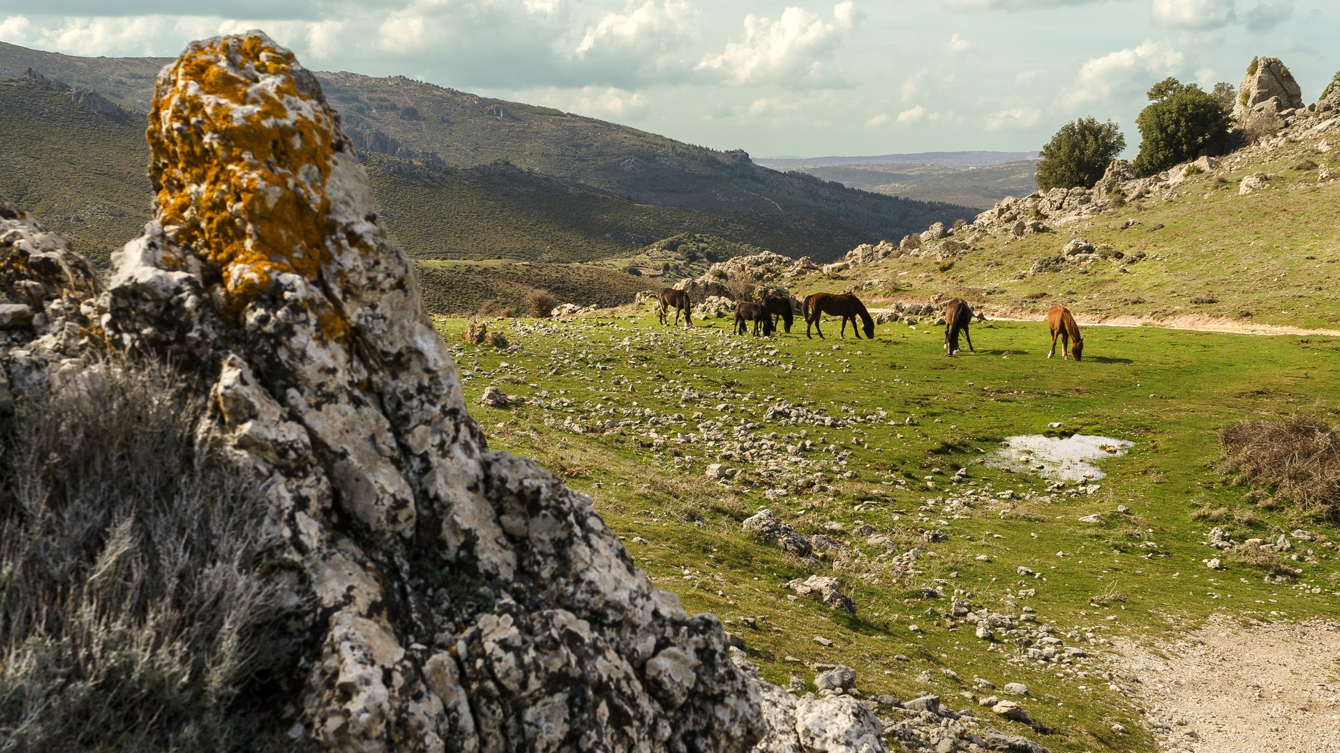 Sardinien - Sardinien Express Sardinien - Sardinien Express