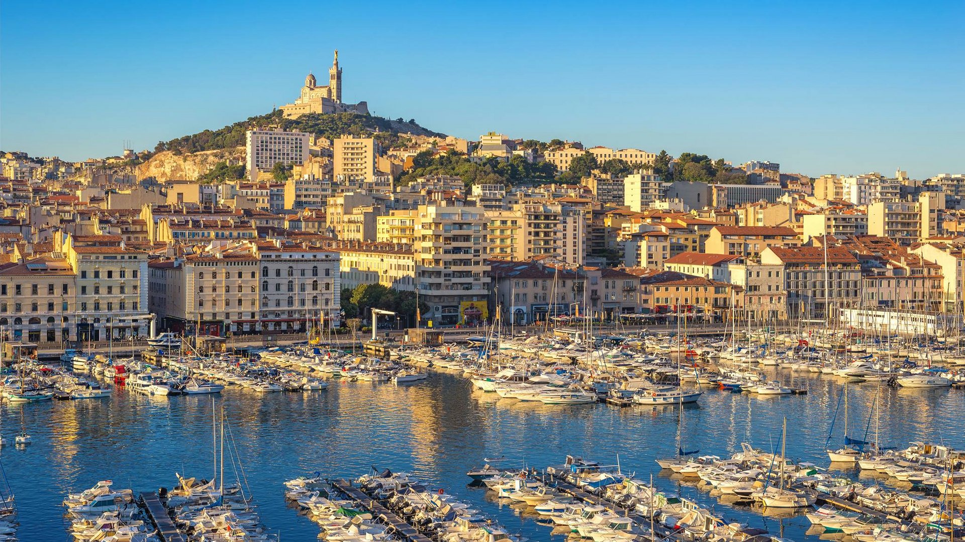 Francia Francia