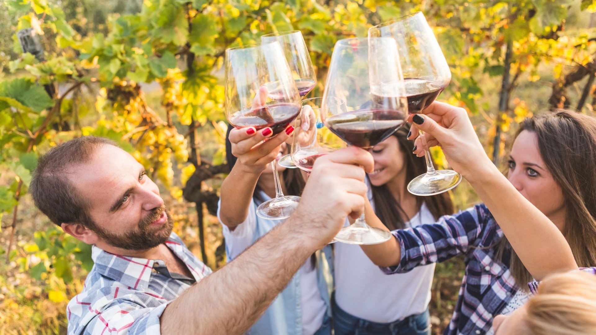 Wines of Northern Italy | Lake Como, Langhe, Verona | 8-Day Group Tour