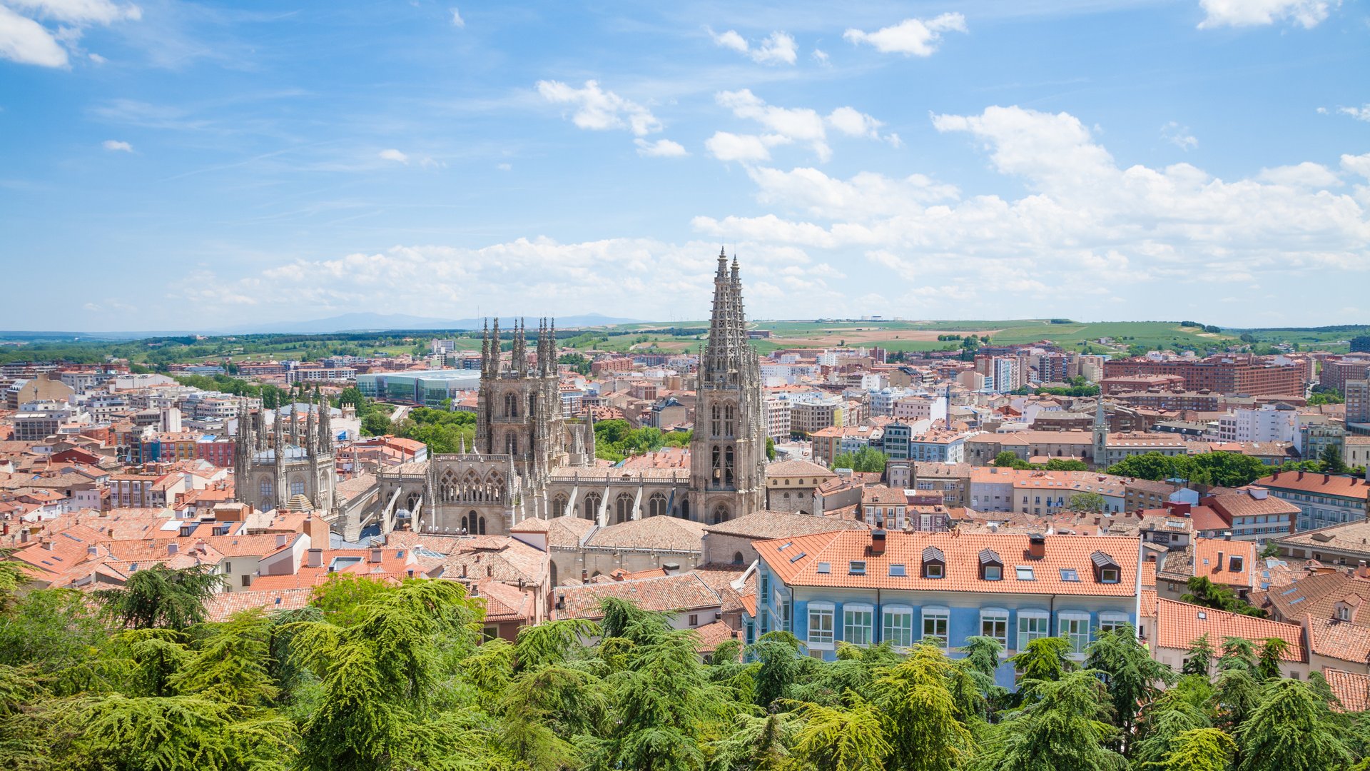 Spain's Finest Wines: Culinary Group Tour with Tasting Experiences