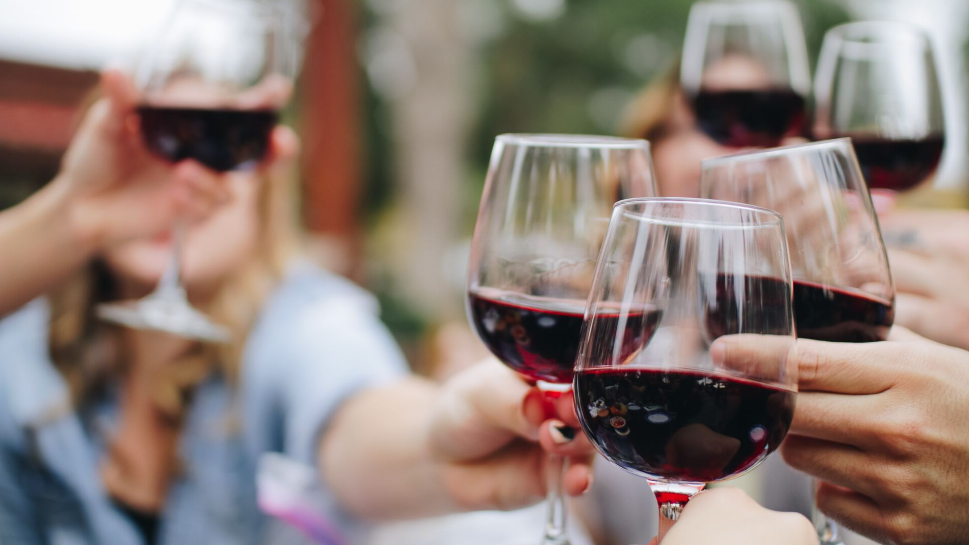 Piedmont & Lake District – A Wine Lover’s Journey Through Northern Italy