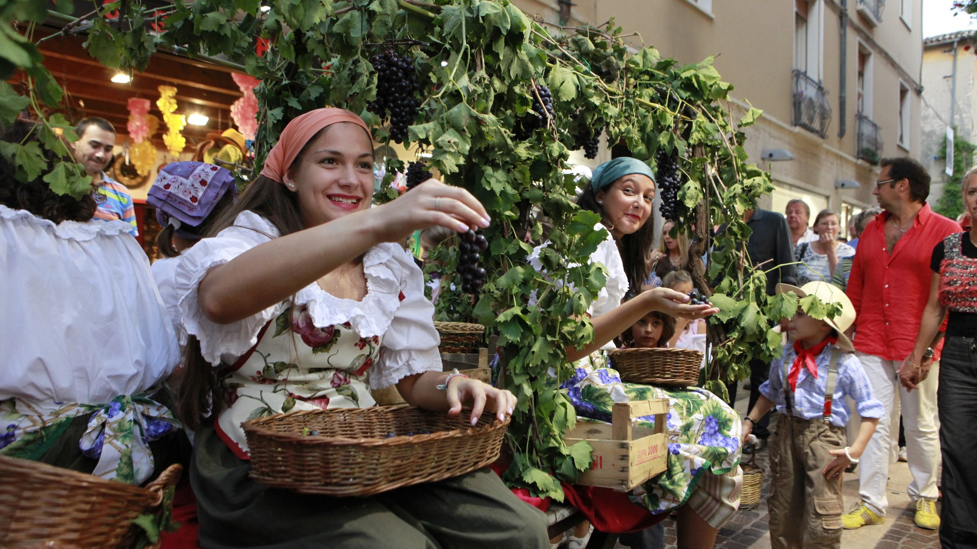 Lake Garda Wine Festival in Bardolino 2026 - Book a group tour!
