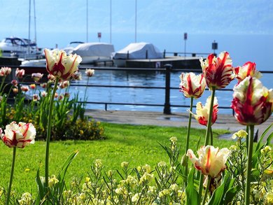 Lago Maggiore Lago Maggiore