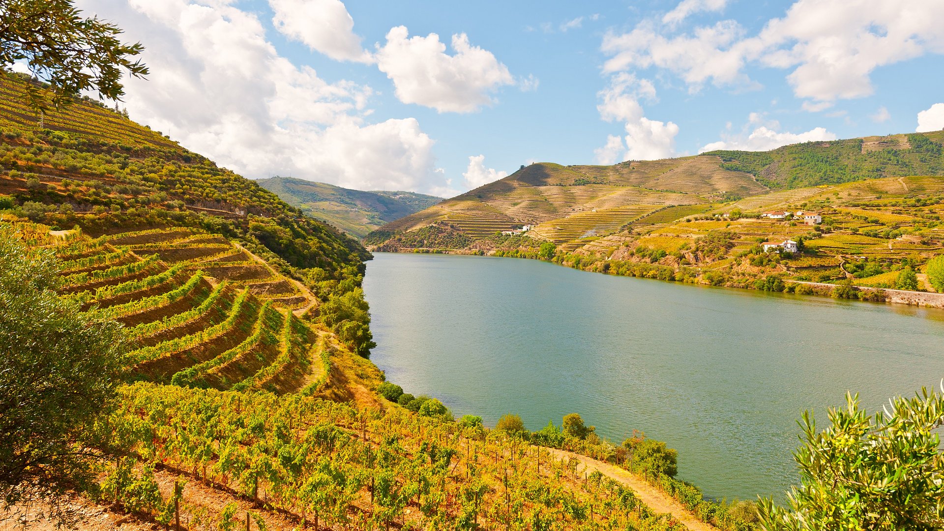 Portugal - Weinreise durch Portugal