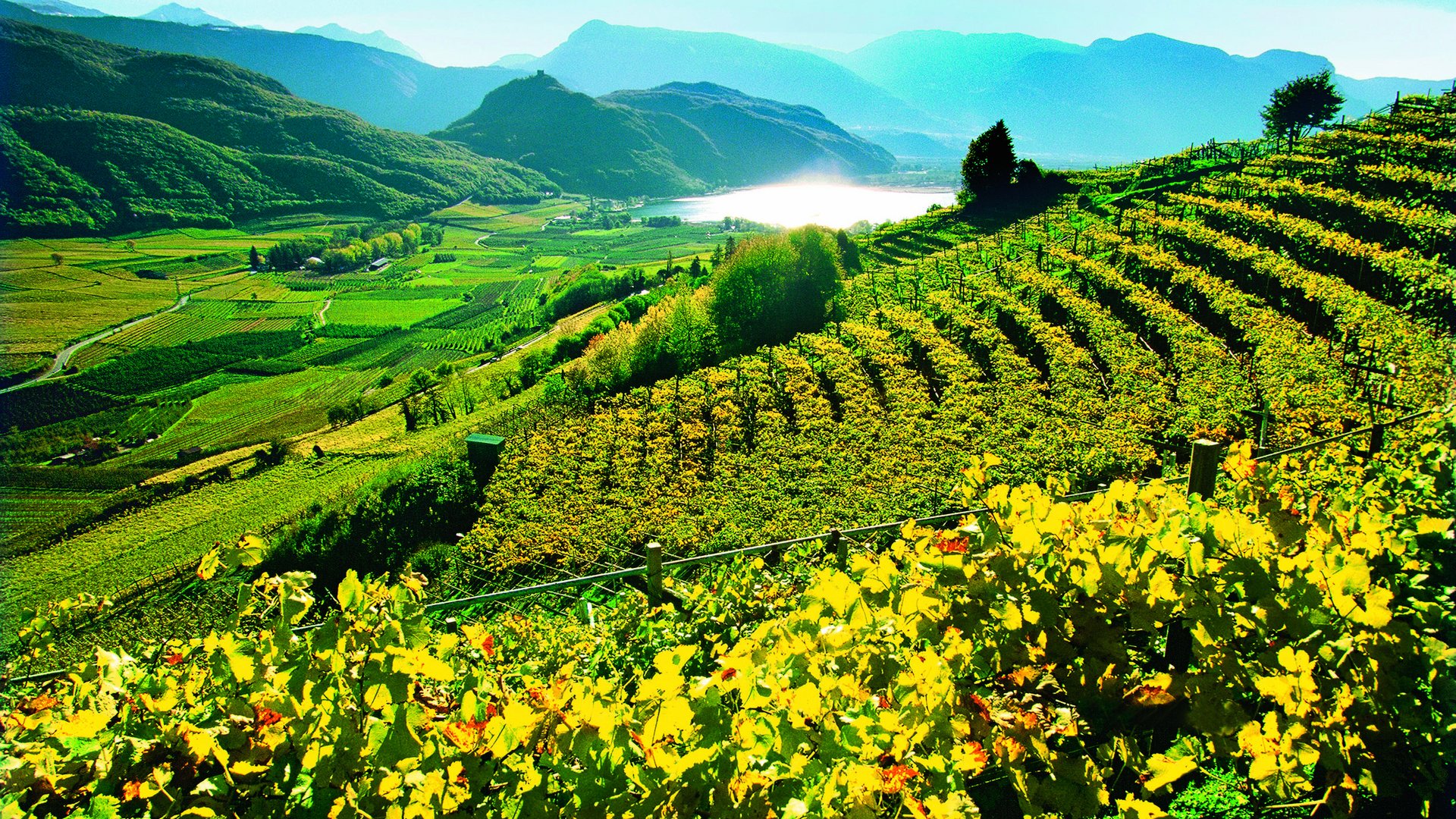 Cycling Delights in the Dolomites: Lakes, Castles & Wine Along the Via Claudia Augusta