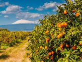 Michelangelo International Travel | Leading DMC for Italy & the Mediterranean