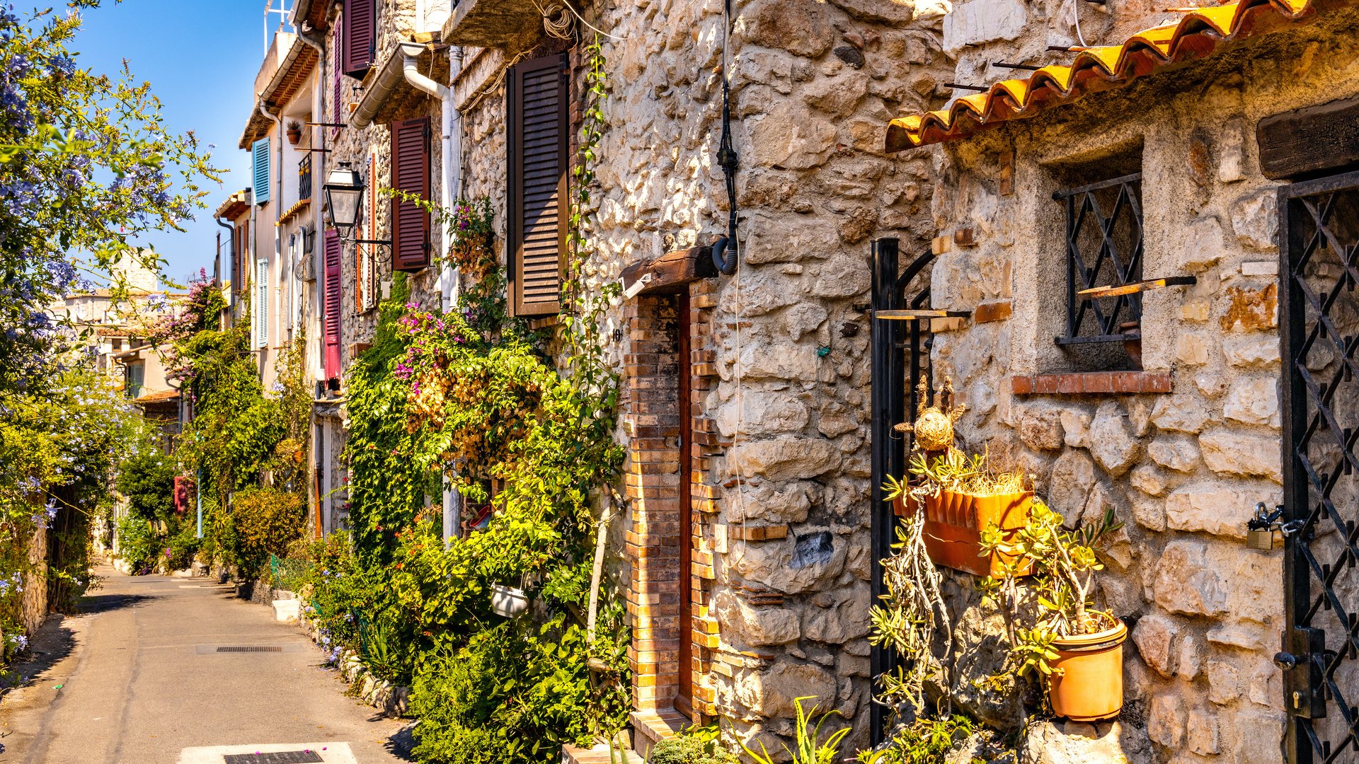 Fragrance & Elegance of the Côte d'Azur: Mimosas in Bloom - Group Tour