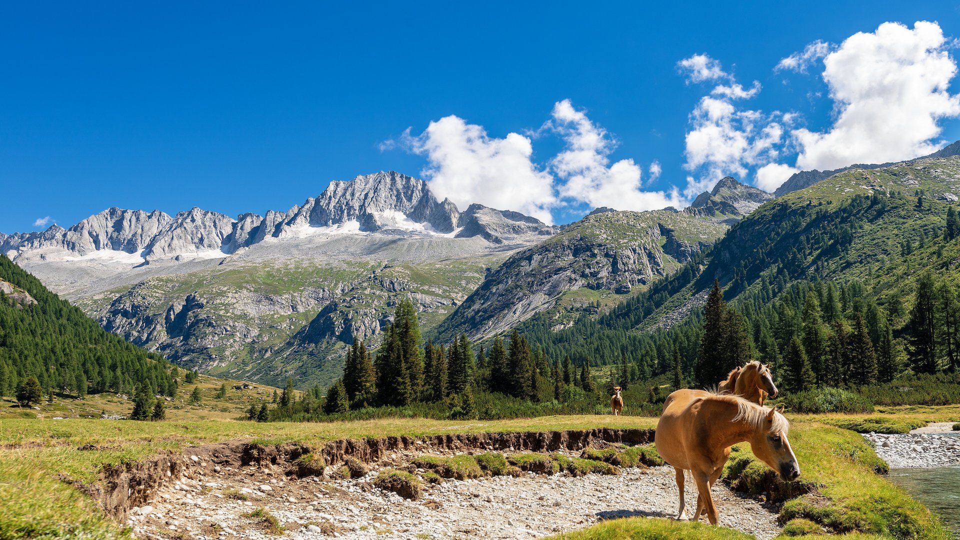 Trentino-Südtirol - Am Fuße der Dolomiten Trentino-Südtirol - Am Fuße der Dolomiten