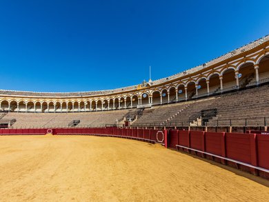 Andalusien - Mandelblüte in Andalusien