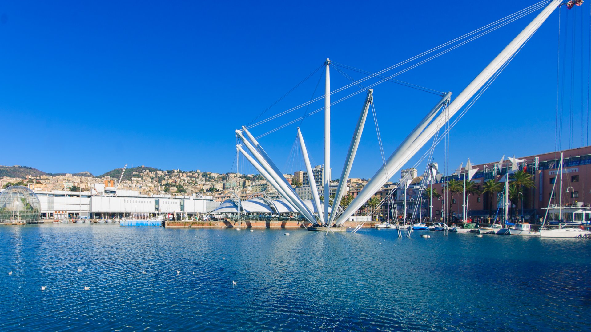 Sonderaktion November | Ligurien - 3* Hotel Olympic Sonderaktion November | Ligurien - 3* Hotel Olympic