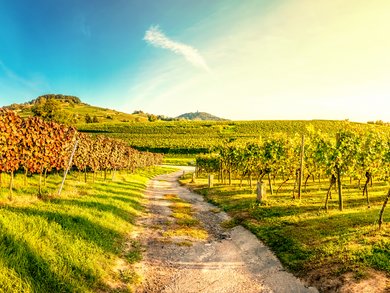 Group Tours Across Italy & the Mediterranean | michelangelo.travel