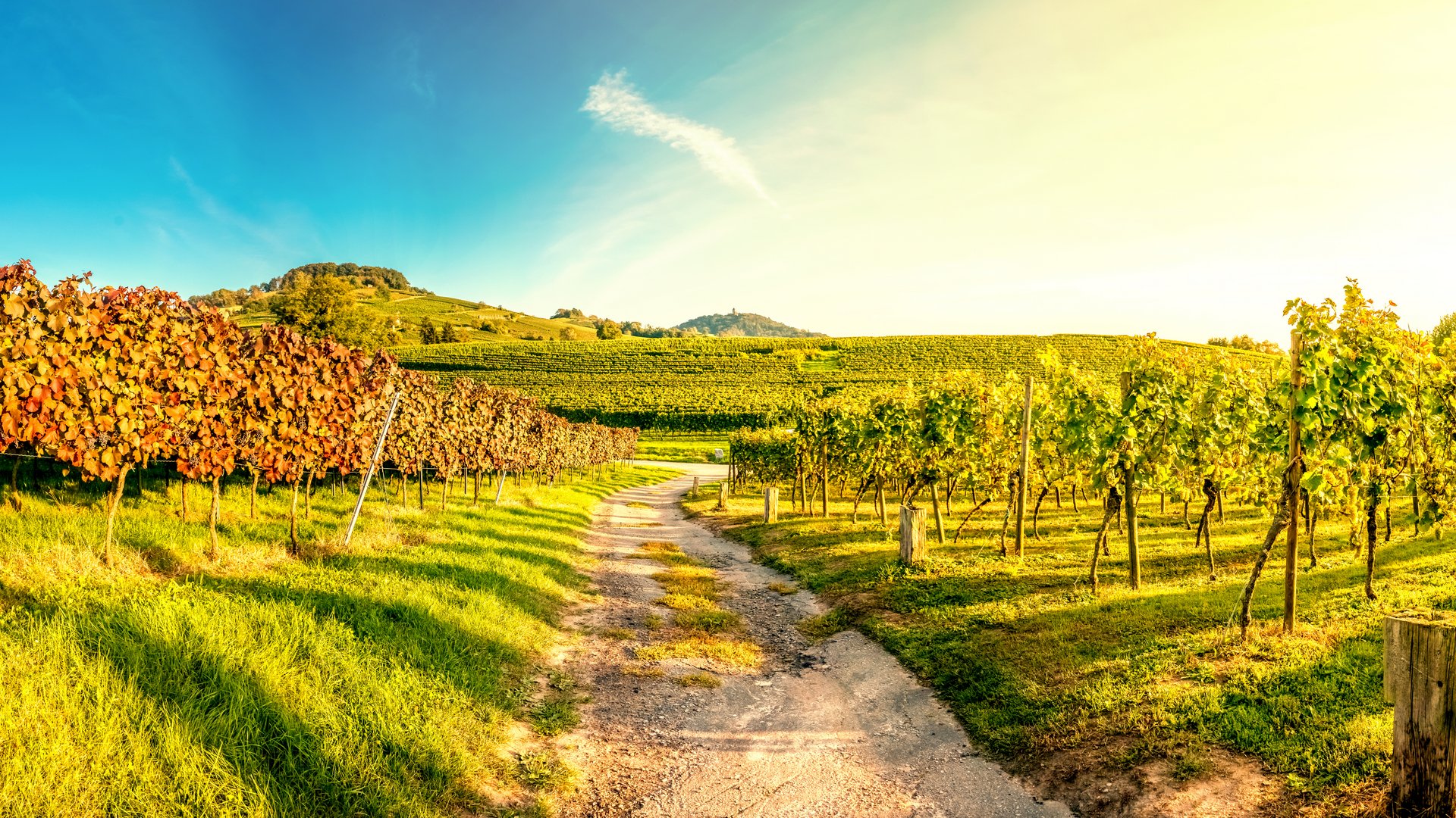 Piedmont Tours for Operators: Nature, Culture & Cuisine