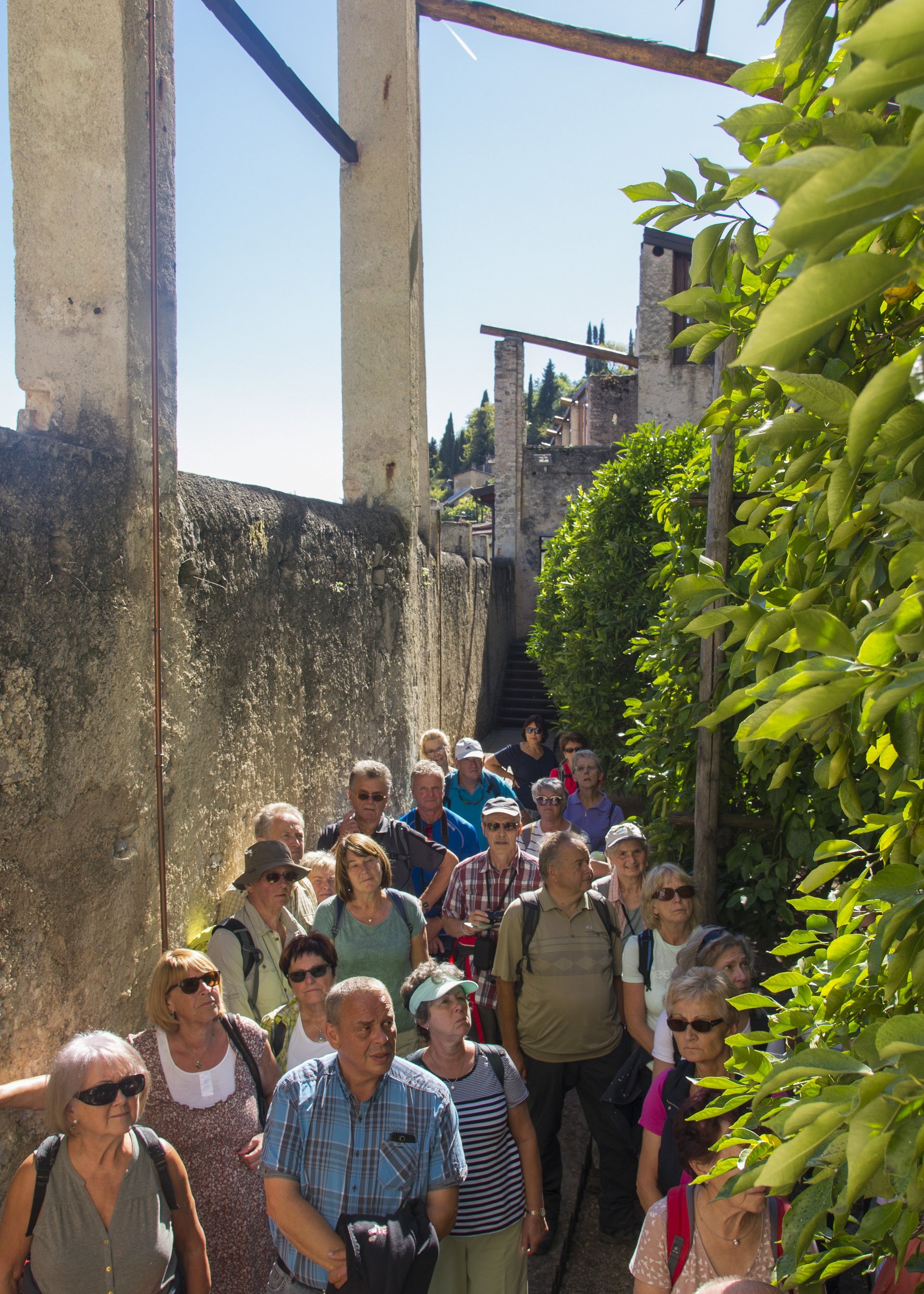 Sonderaktion November | Gardasee - 3* Hotel Bristol Sonderaktion November | Gardasee - 3* Hotel Bristol