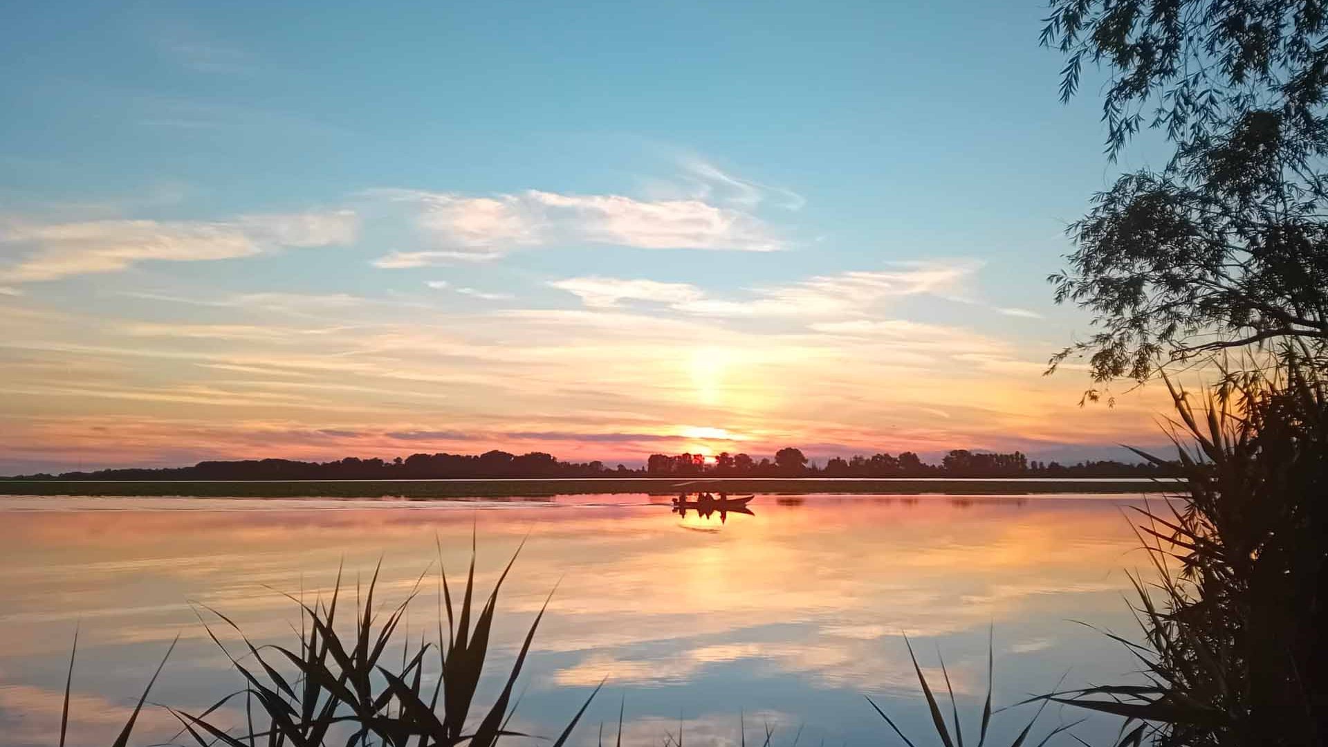 Lombardia e i suoi laghi - Mantova e la fioritura del loto