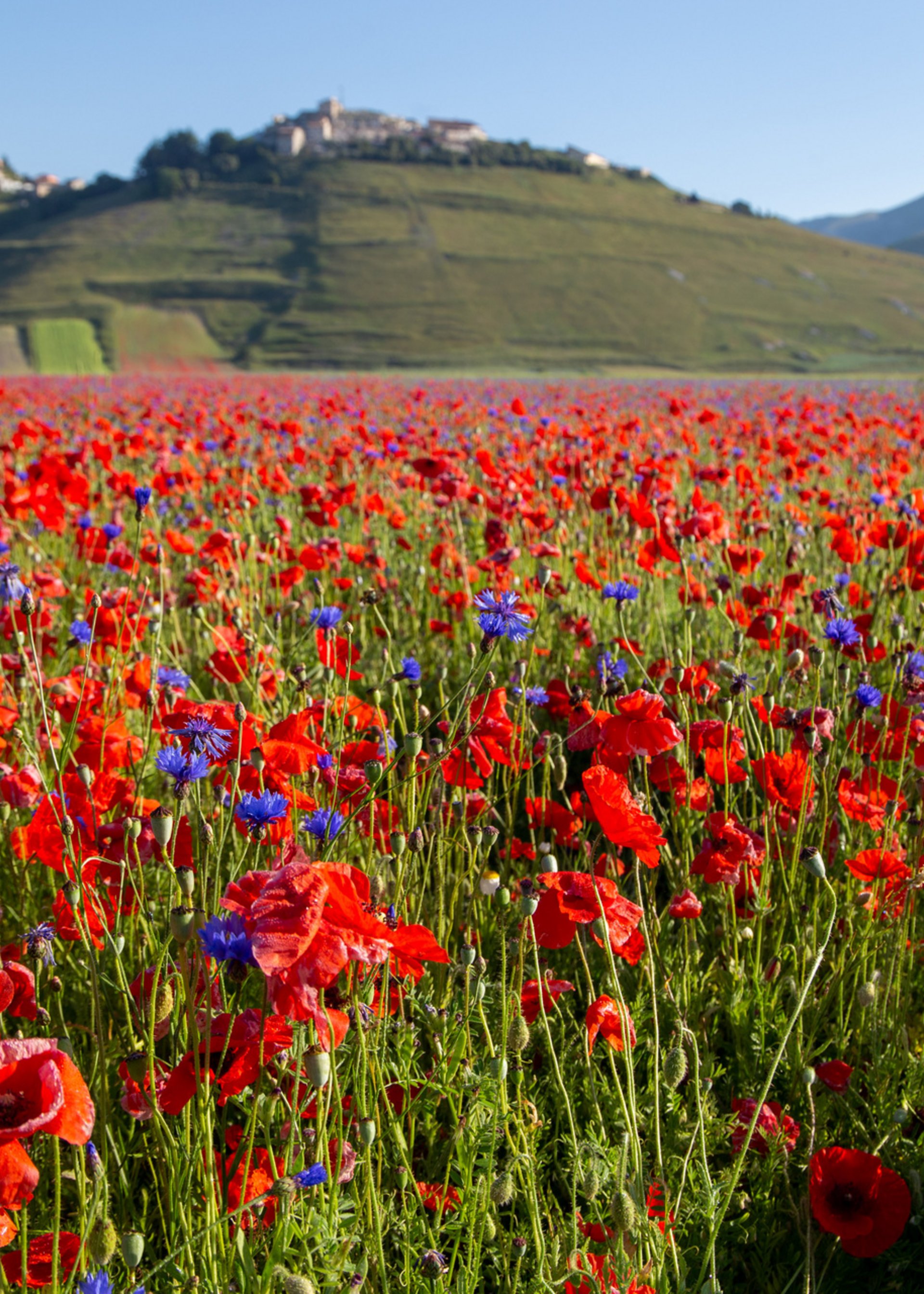 Park & Garden Tours in Italy | michelangelo.travel