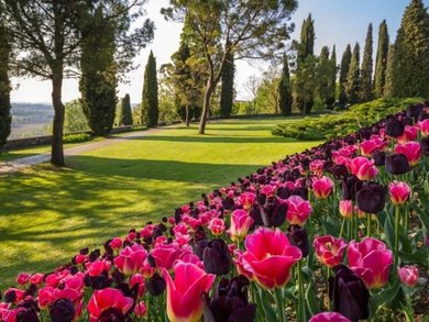 Sonderaktion November | Gardasee - 4* Parc Hotel Sonderaktion November | Gardasee - 4* Parc Hotel