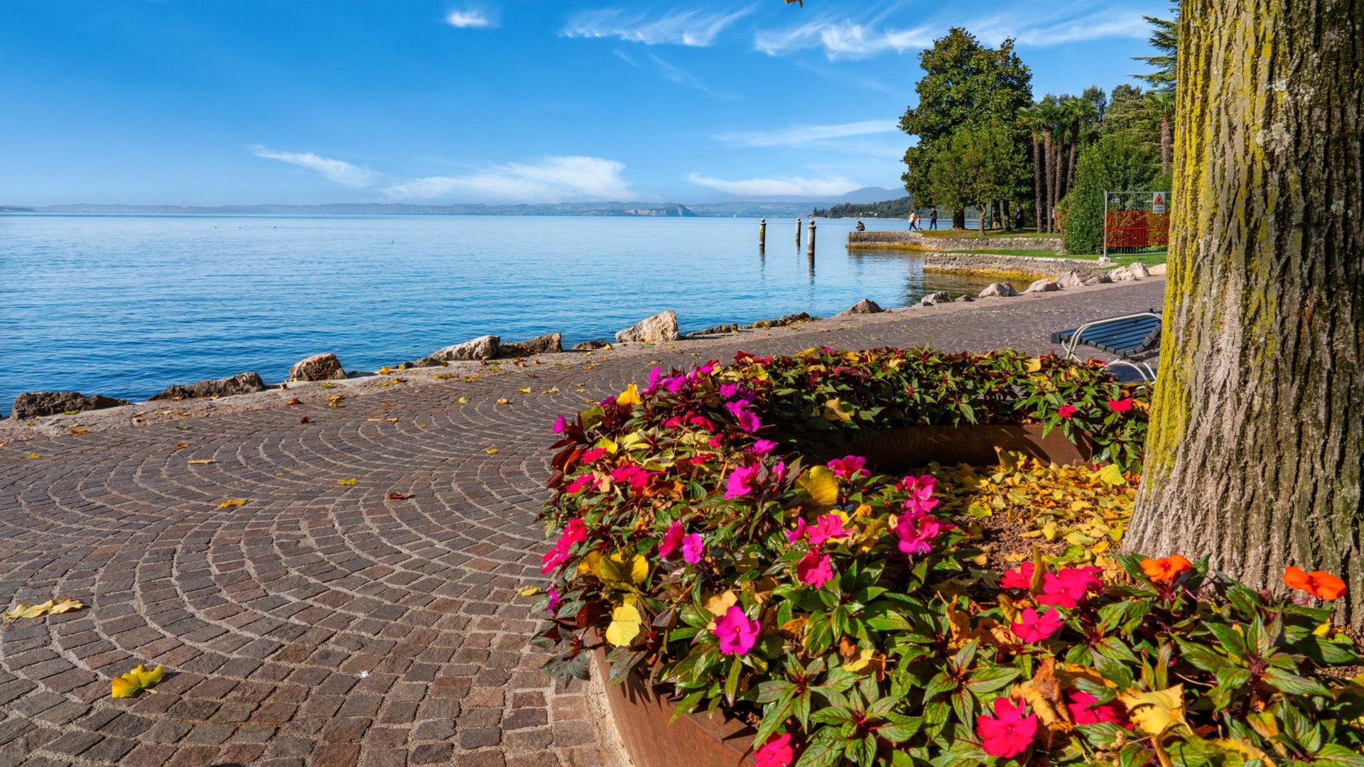 Eröffnung & Abschluss | Gardasee - 3*S Hotel Bisesti