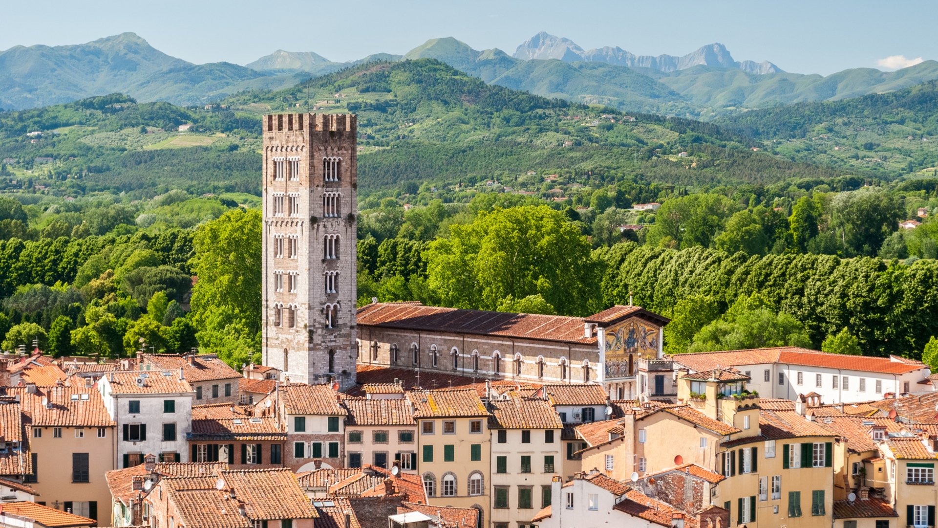 Tuscany Hiking, Wine Tasting & Truffle Hunt Tour: Lucca, Chianti & Florence