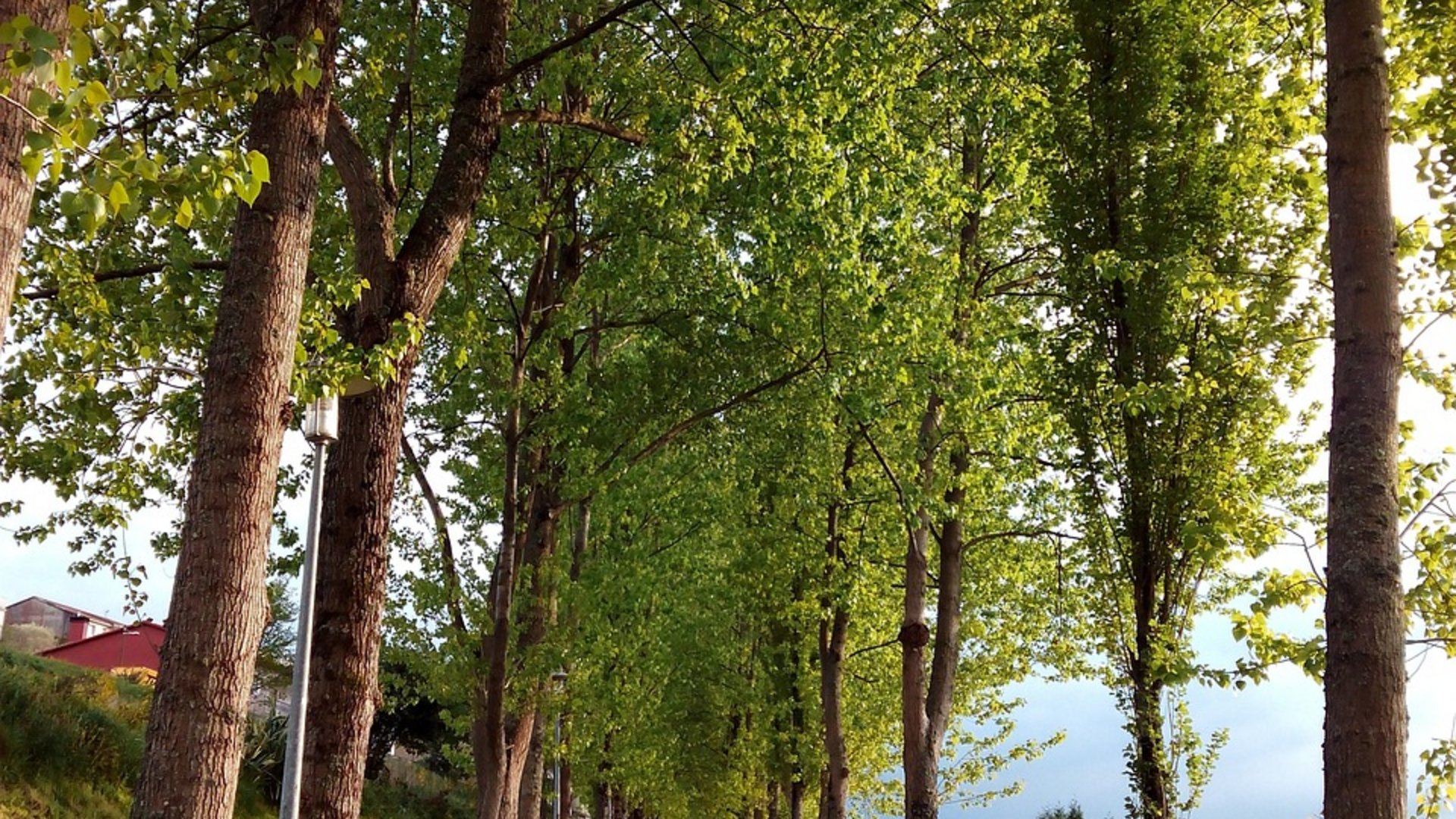 Spagna - Cammino di Santiago in bus e a piedi