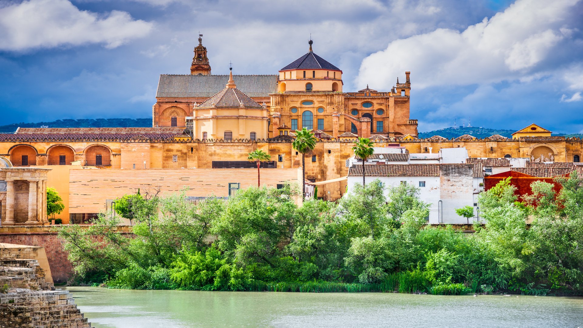 Olive Harvest Tour in Andalusia with Michelangelo International Travel