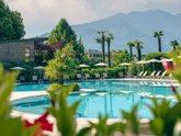 Michelangelo International Travel