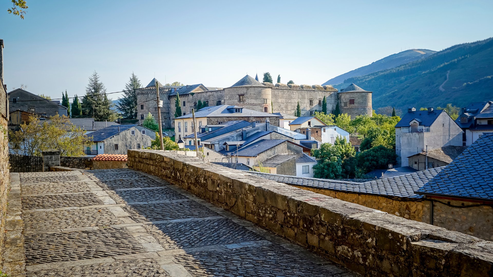 Catholic Pilgrimages & Religious Group Tours | michelangelo.travel
