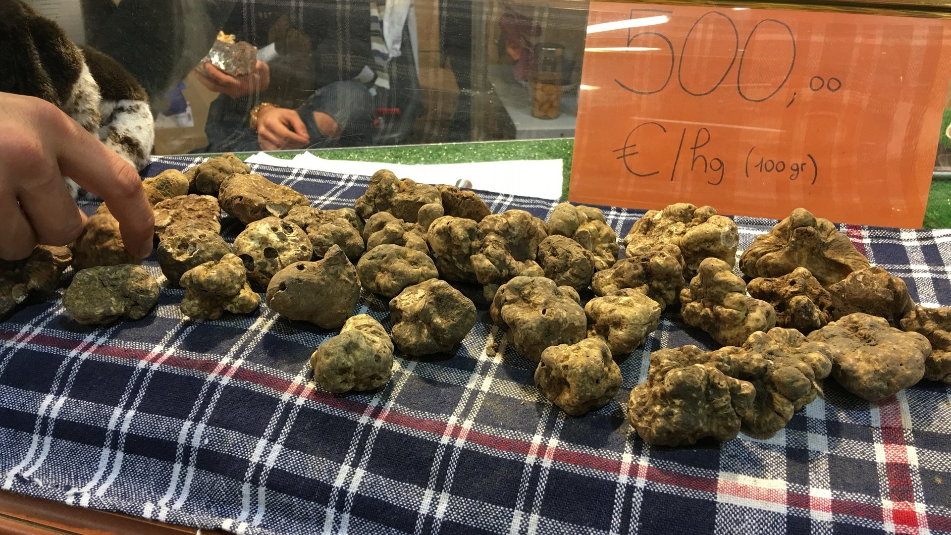 Alba Truffle Festival - A Group Tour into the Heart of Piedmont