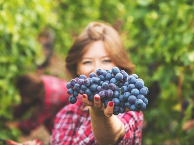 Explore our Tours by Destination | Michelangelo International Travel