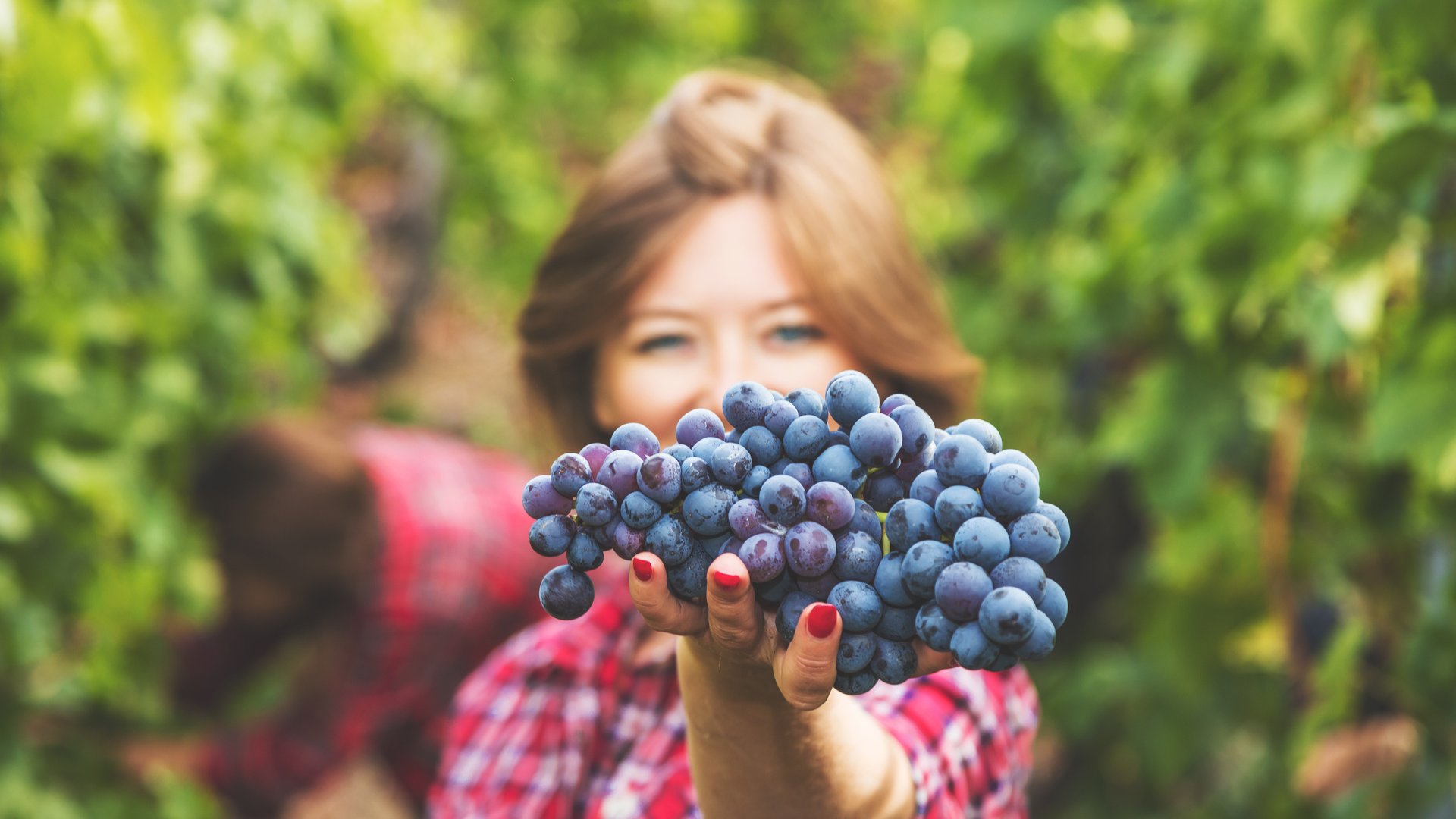 Puglia Experience Tour: Grape Stomping, Matera & Trulli | DMC Italy Puglia Experience Tour: Grape Stomping, Matera & Trulli | DMC Italy
