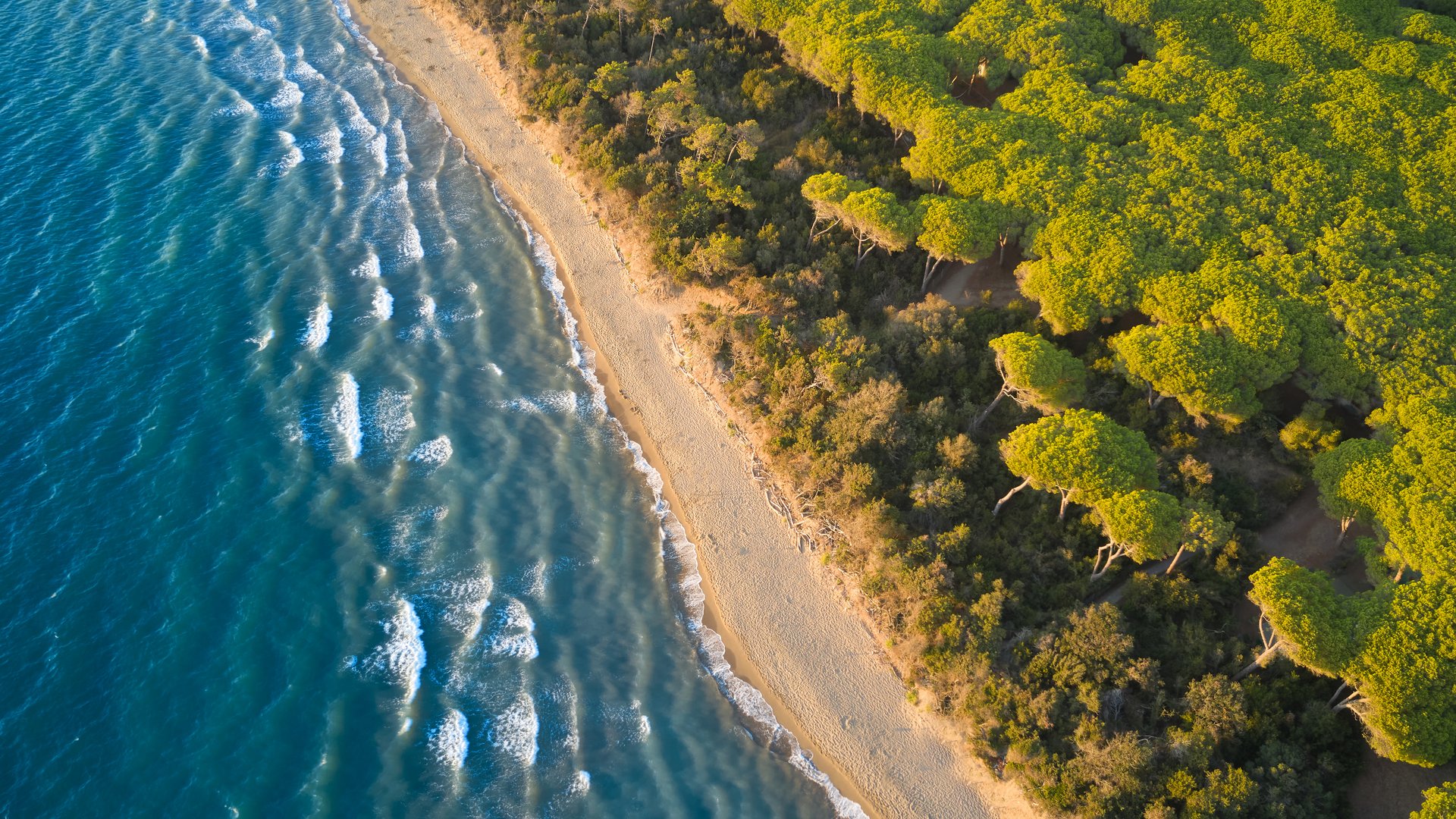 Liguria & Tuscany by Bike | Incoming Services for Active Tours Liguria & Tuscany by Bike | Incoming Services for Active Tours