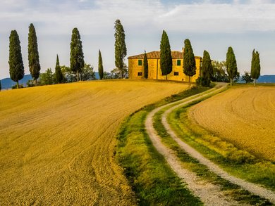 Toskana - Chianti – Wo Leidenschaft auf Trauben trifft Toskana - Chianti – Wo Leidenschaft auf Trauben trifft