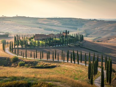 Toskana - Chianti – Wo Leidenschaft auf Trauben trifft Toskana - Chianti – Wo Leidenschaft auf Trauben trifft