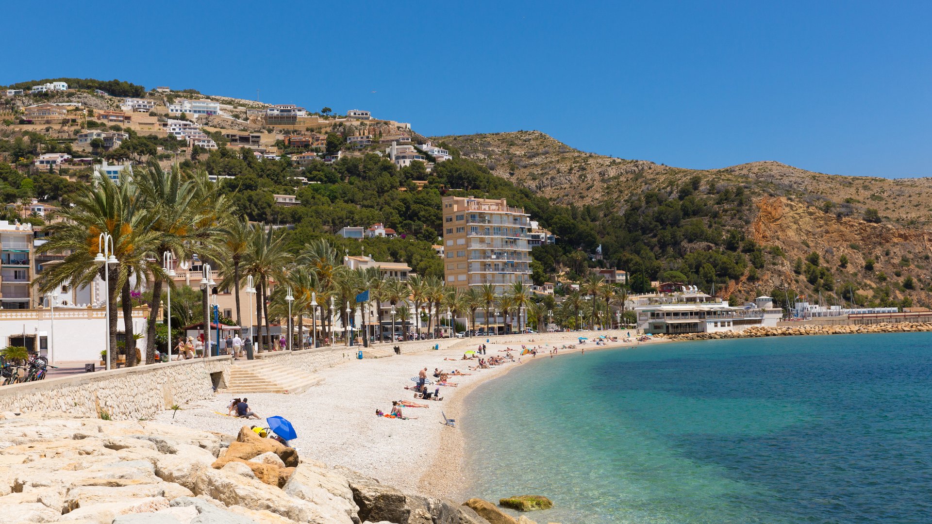 Hands-On Orange Picking & Valencia Highlights – Iberian DMC Hands-On Orange Picking & Valencia Highlights – Iberian DMC