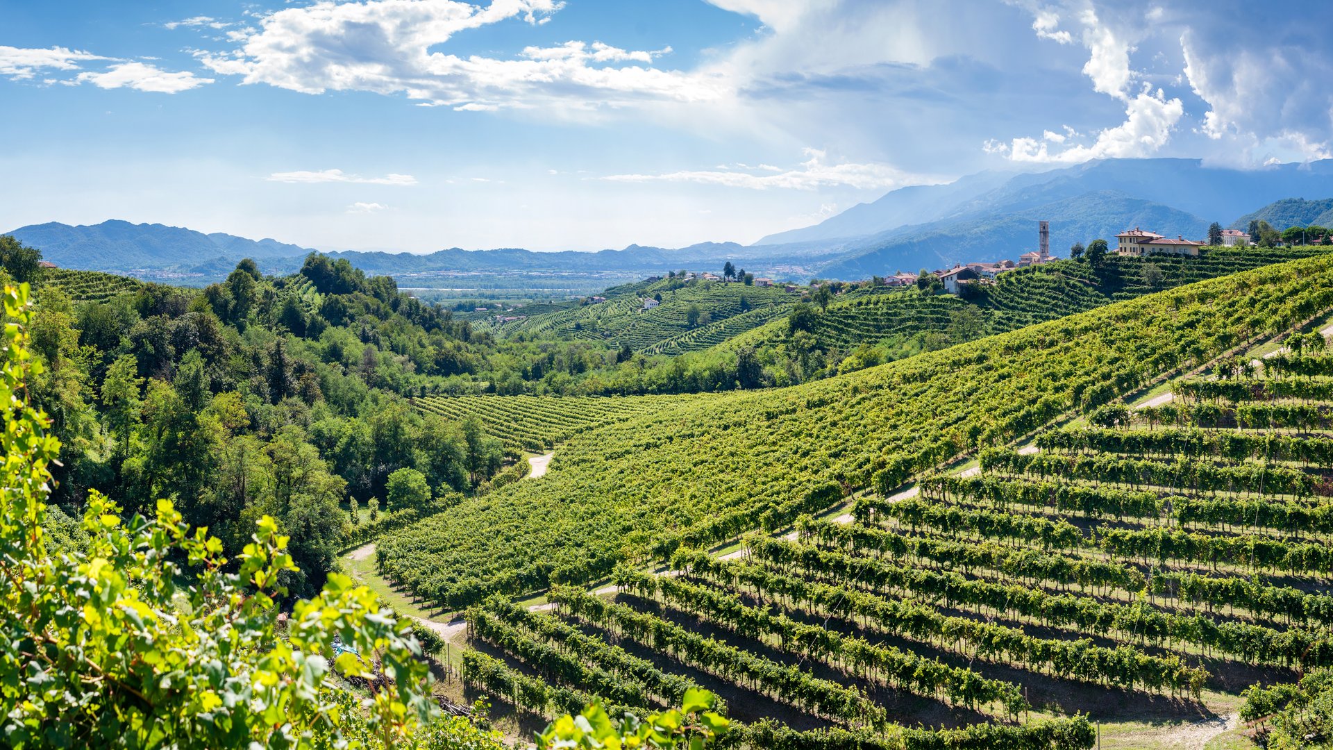 RDA 2025 MESSEANGEBOT | Venetien - 4* Hotel Le Soleil RDA 2025 MESSEANGEBOT | Venetien - 4* Hotel Le Soleil