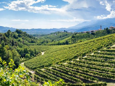 Sonderaktion November | Venetien - 4* Bonotto Hotel Palladio Sonderaktion November | Venetien - 4* Bonotto Hotel Palladio