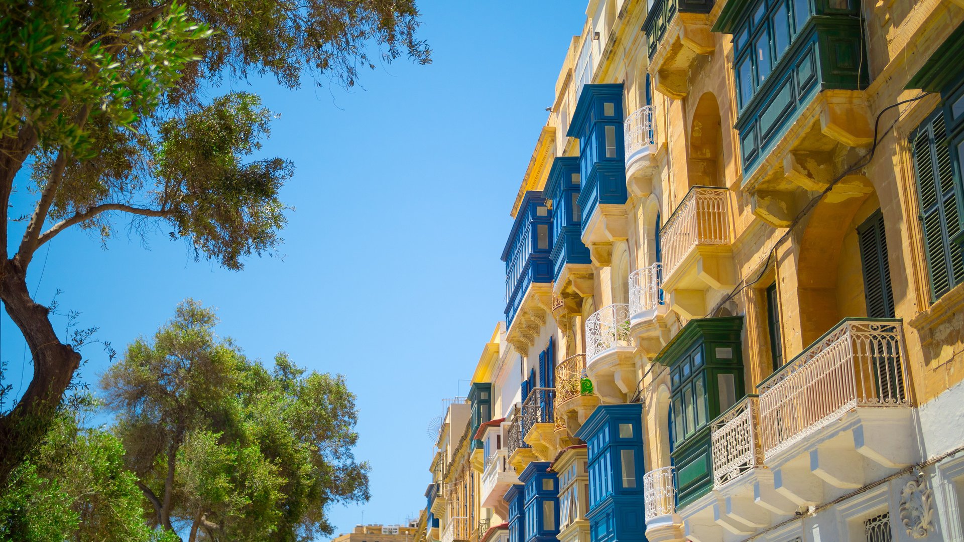 Tastes of Malta: Culinary & Cultural Group Tour