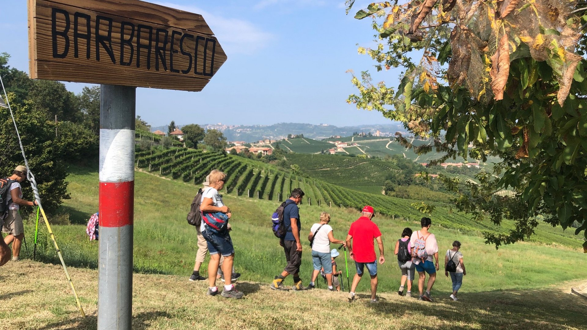 Wanderreise - Weinwanderung im Genussland Piemont