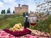 Michelangelo International Travel