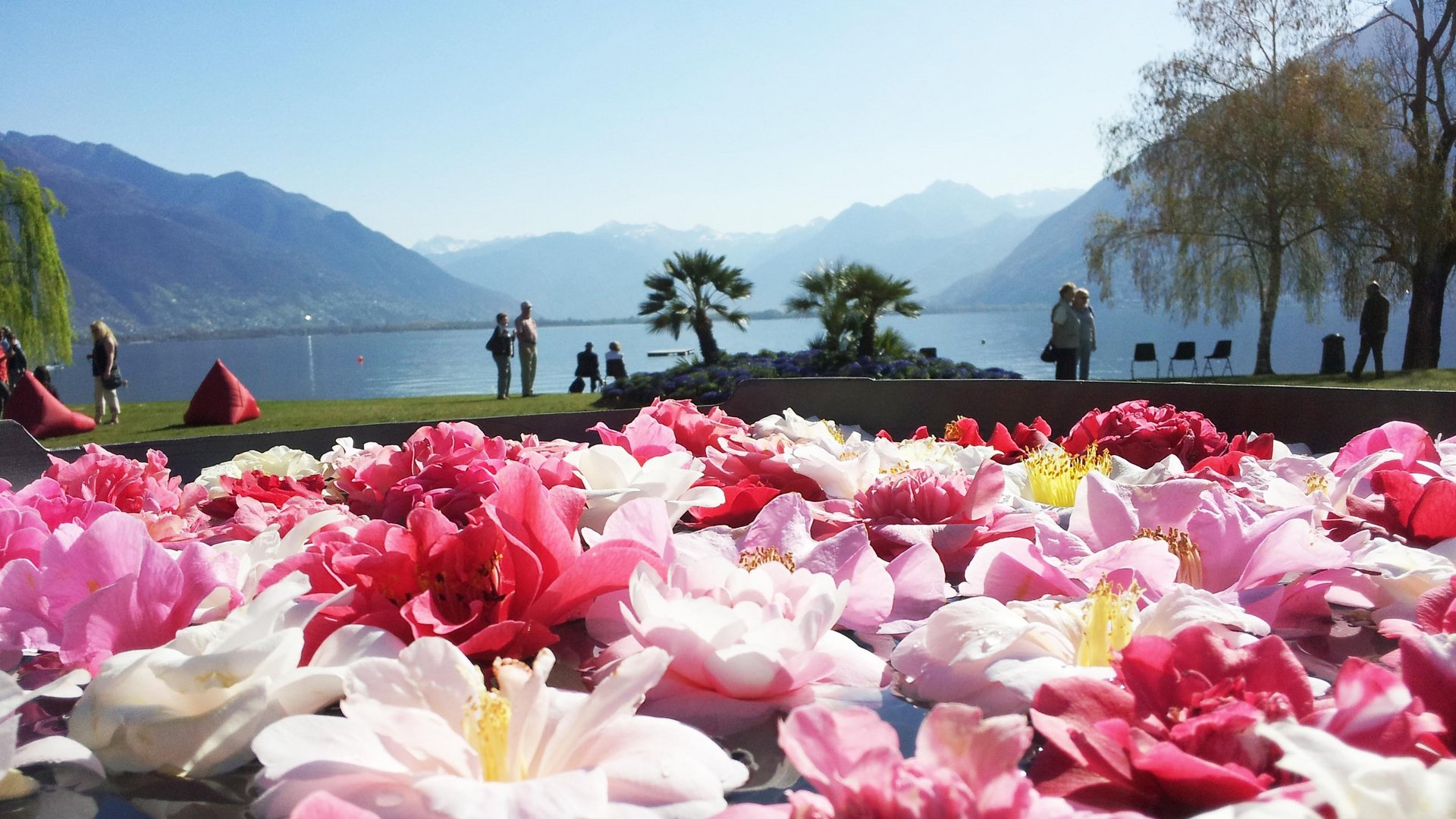 Eröffnung & Abschluss | Lago Maggiore - 4* Hotel Pallanza Eröffnung & Abschluss | Lago Maggiore - 4* Hotel Pallanza