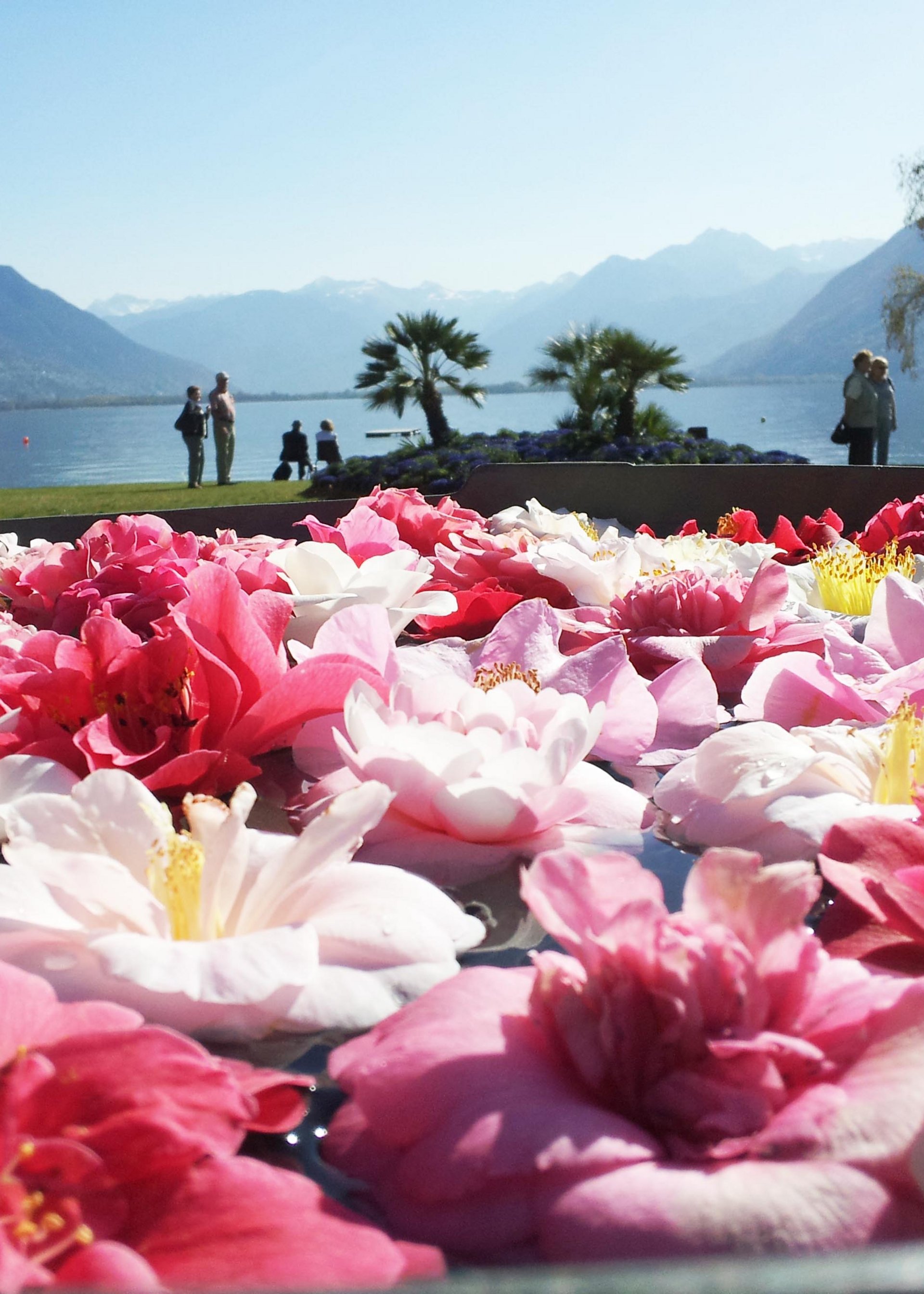 Park & Garden Tours in Italy | michelangelo.travel