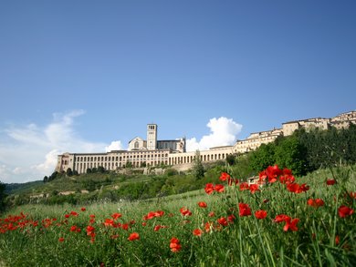 Umbria - Umbria in fiore