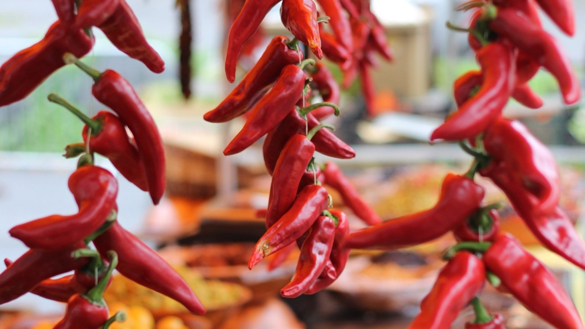 Calabria - Gusto e tradizione nel cuore della Calabria