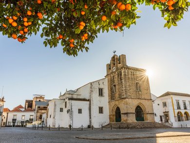 Explore our Tours by Destination | Michelangelo International Travel