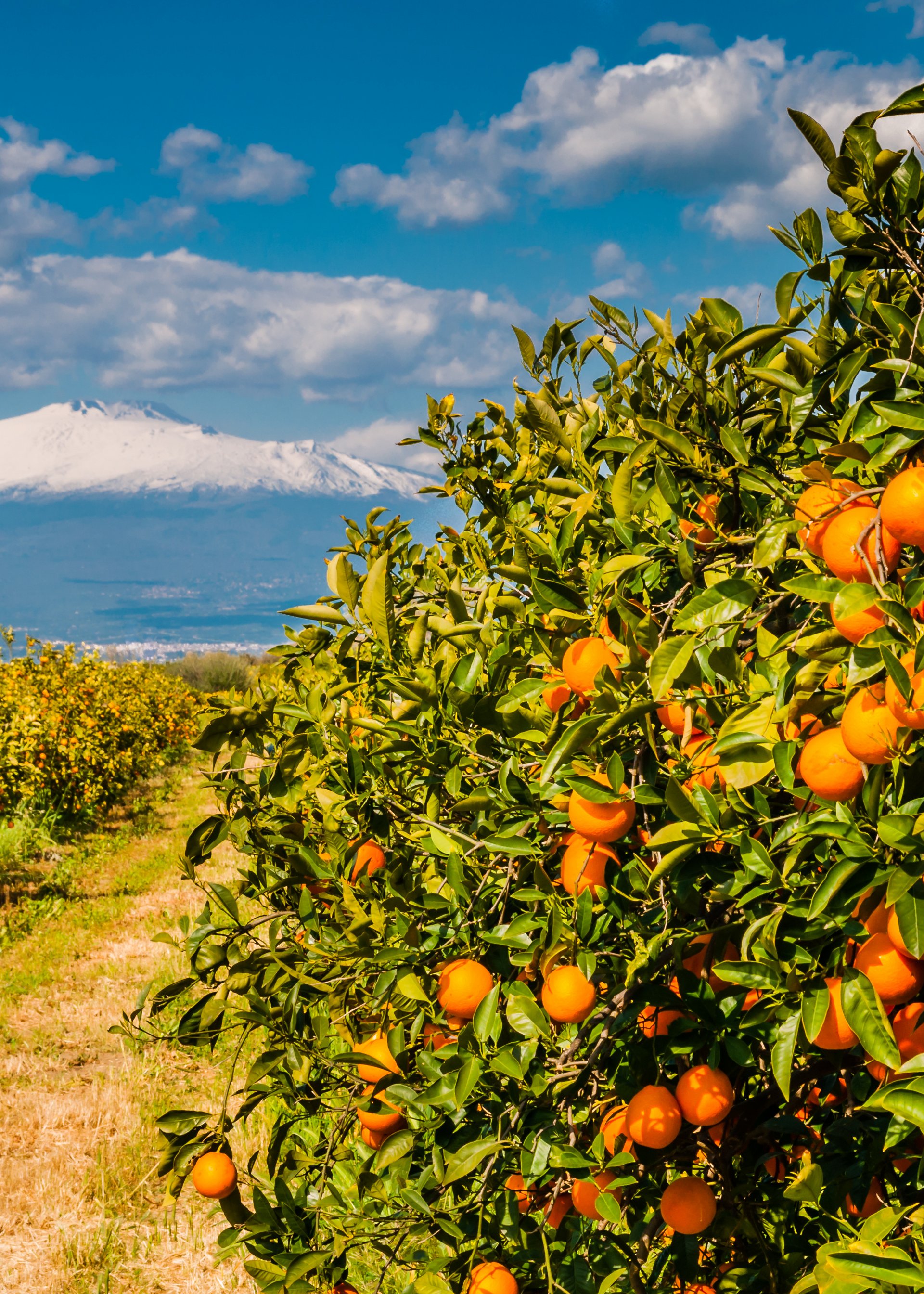 Viaggi di gruppo in Sicilia