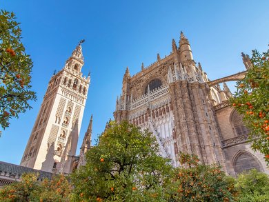 Andalusien - Mandelblüte in Andalusien