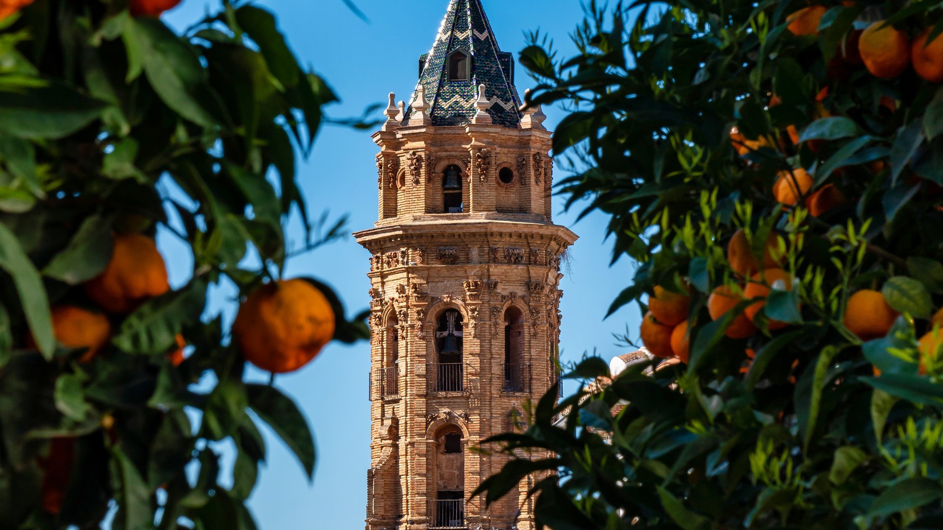 Spain Basque Country Food Tour | GUSTO by Michelangelo INternational Travel