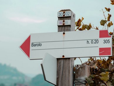Piedmont & French Riviera | Glitz and wines from Barolo to Cannes | 8-Day Group Tour