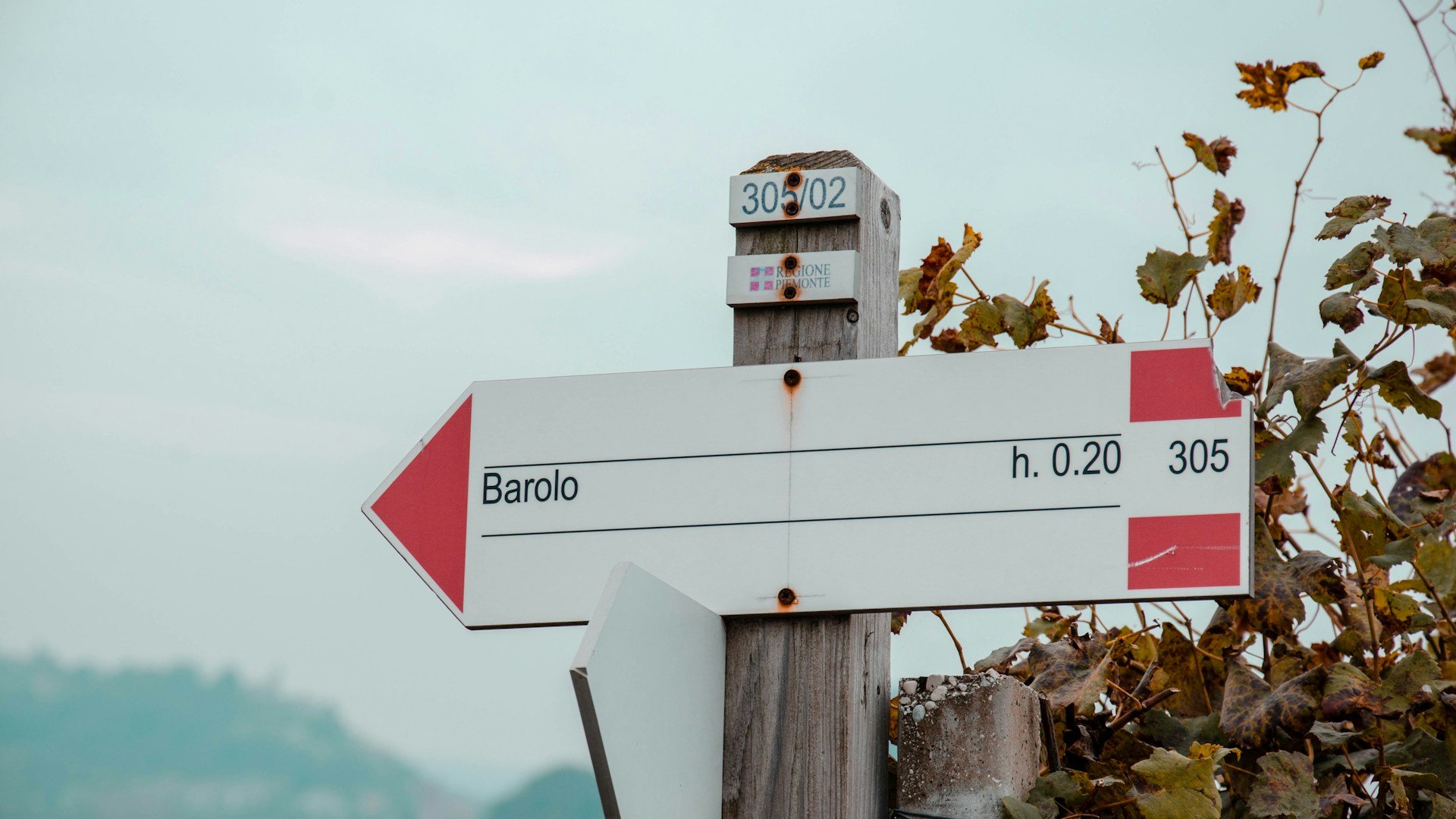 Piemonte e Valle d'Aosta - Trekking tra verdi colline e ricchi vigneti
