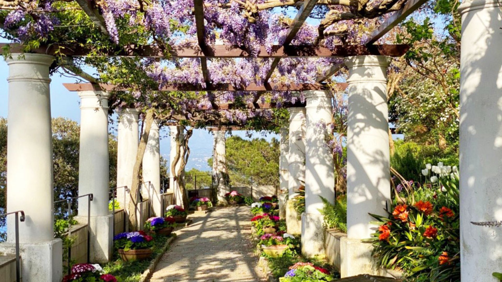 Sonderaktion November | Golf von Neapel - 4* Art Hotel Gran Paradiso Sonderaktion November | Golf von Neapel - 4* Art Hotel Gran Paradiso