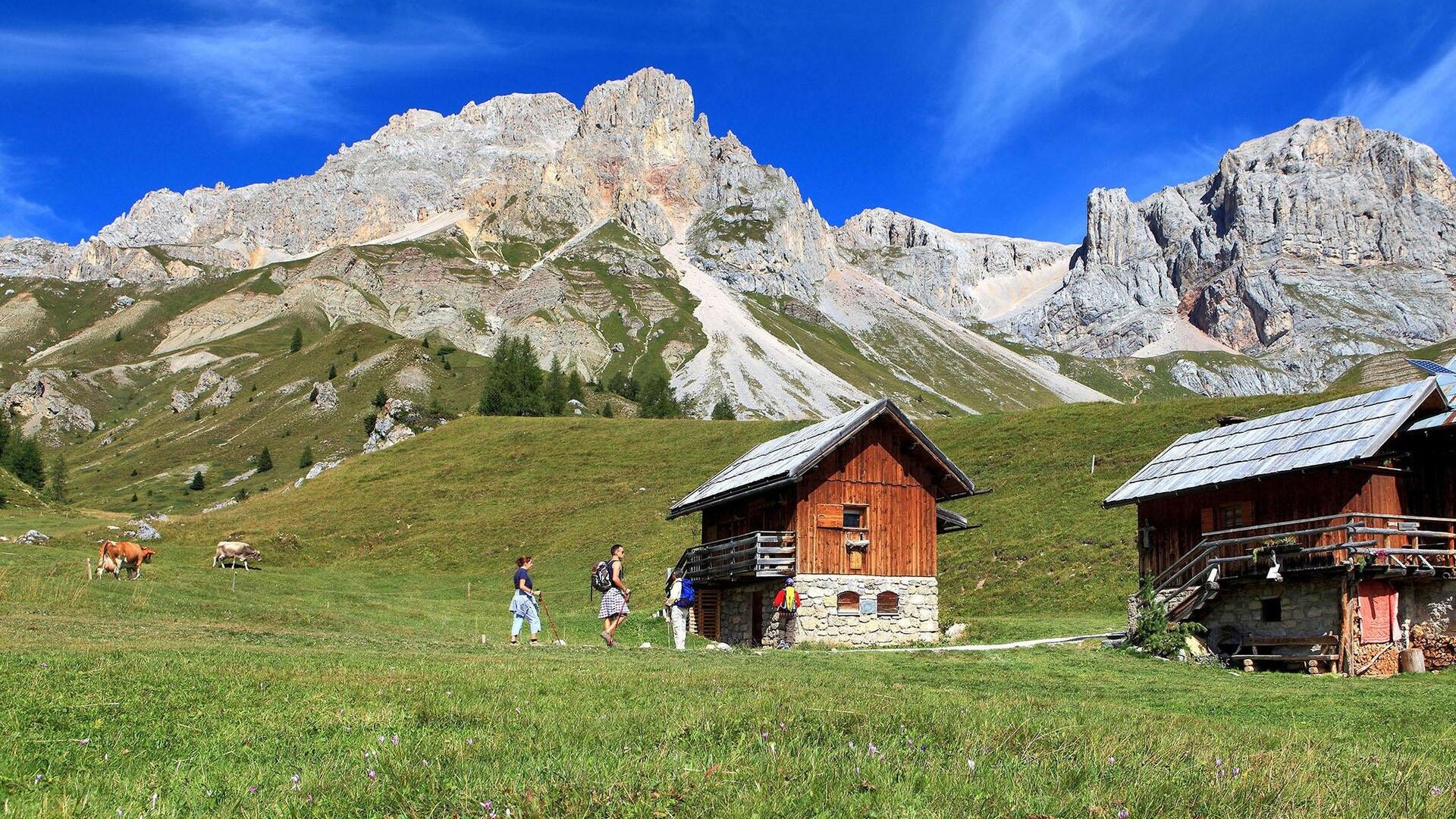Scenic Hiking & Cultural Tour in Levico, Trento, and the Dolomites